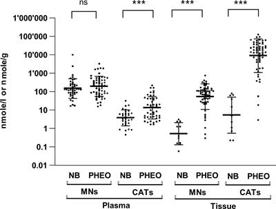 Low number of neurosecretory vesicles in neuroblastoma impairs massive catecholamine release and prevents hypertension
